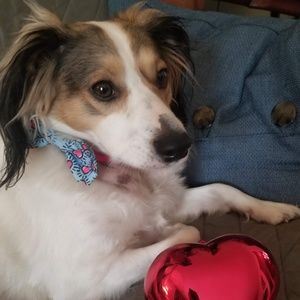 Meet your Posher, Jan